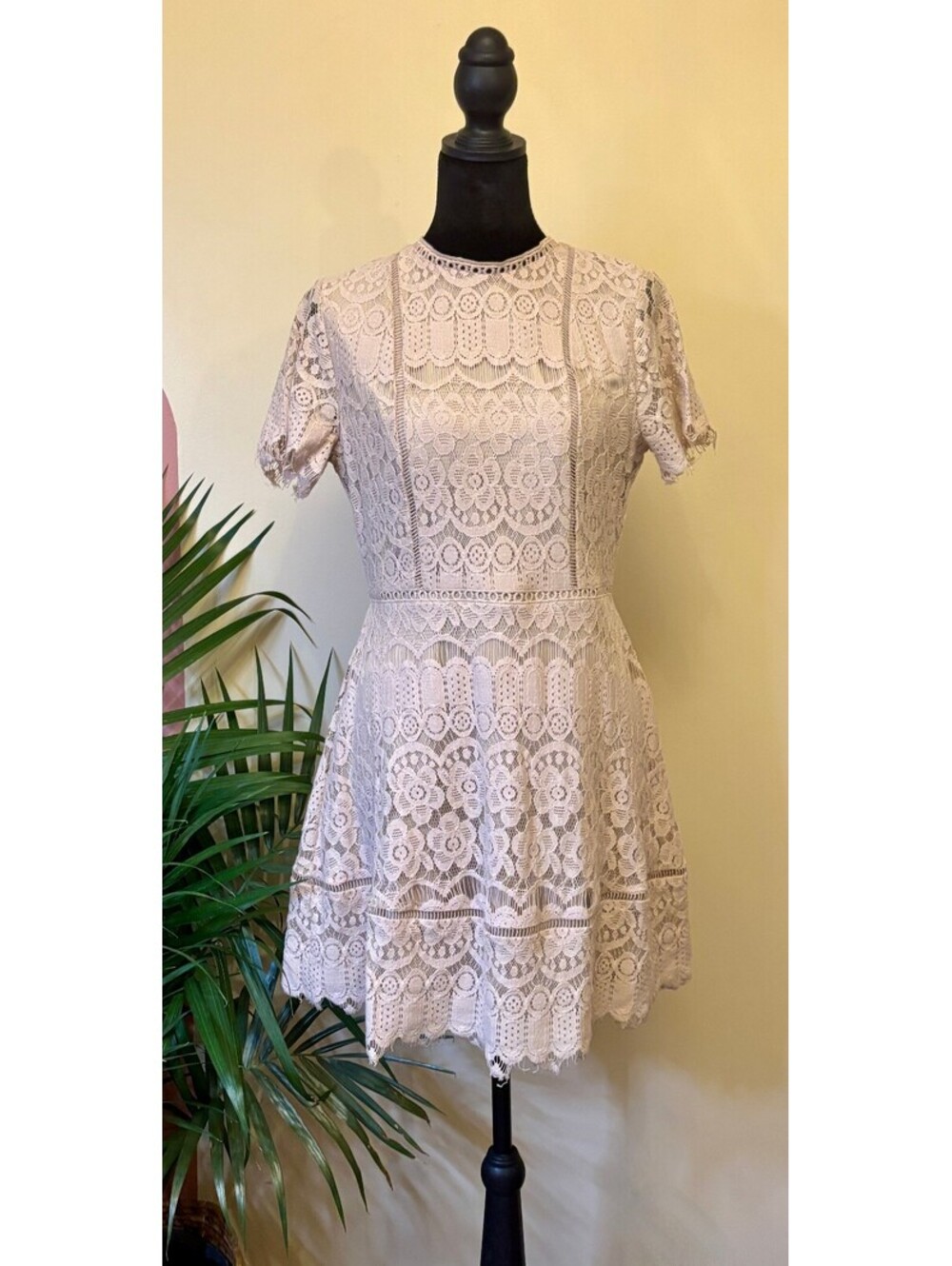 Blue Pepper Women's Midi Dress Feminine Romantic Lace Tan Size Medium